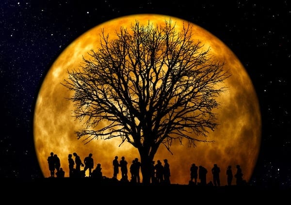 mesic-strom-a-skupina-lidi